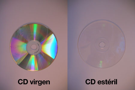 La casa del CD virgen